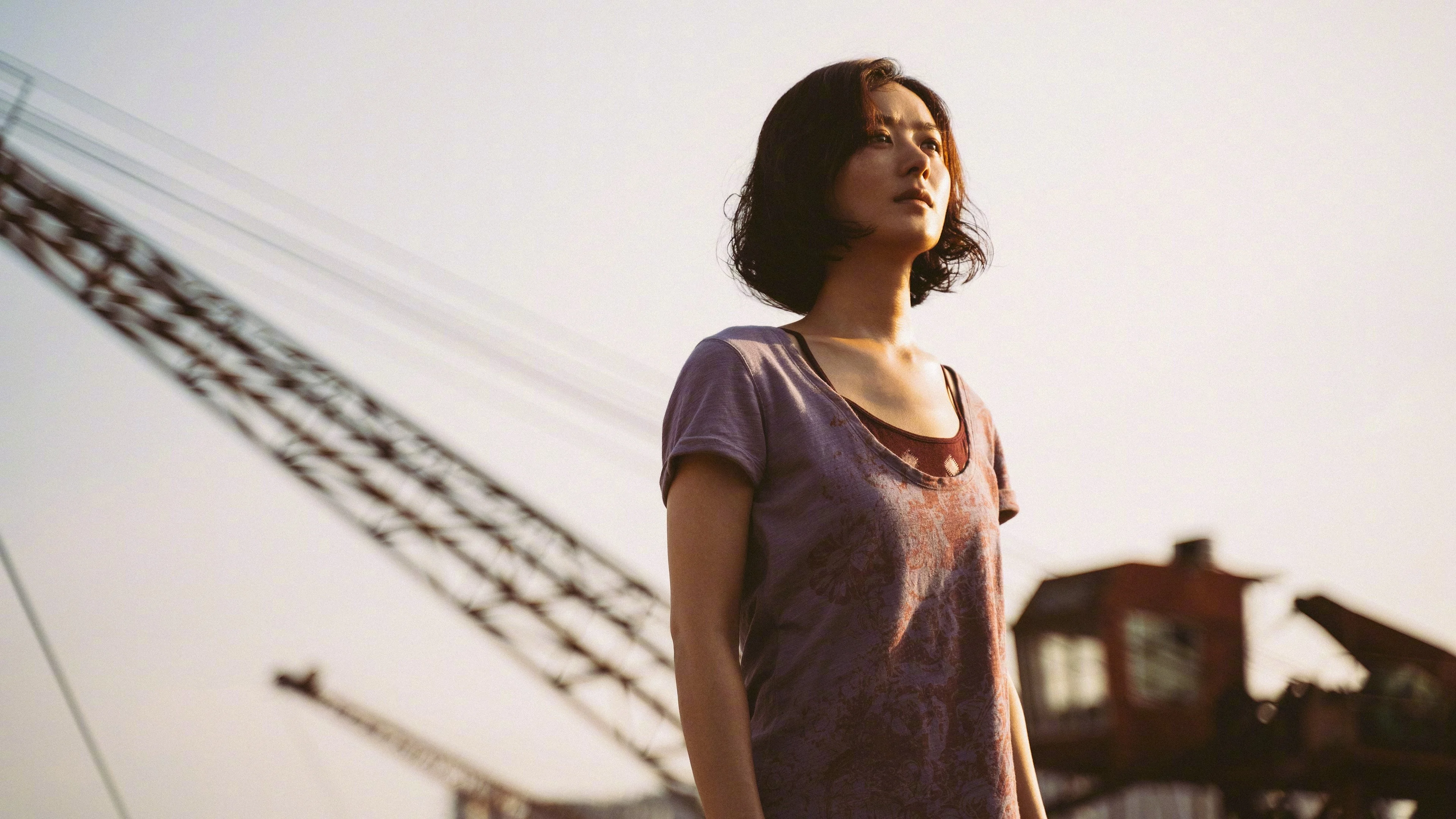 Hoa Hướng Dương Full